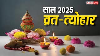 Calendar 2025: हिंदू कैलेंडर 2025, सालभर के व्रत-त्योहारों की लिस्ट, जानें होली, दिवाली, नवरात्रि कब ?