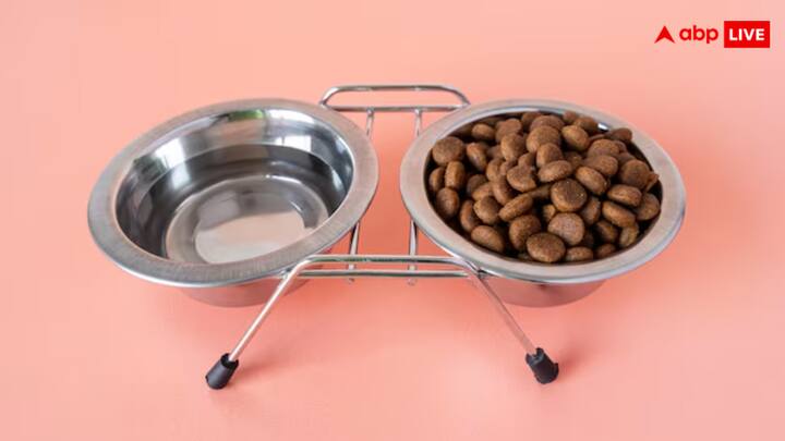 इस करतूत के बाद स्कूल के कई बच्चे बीमार पड़ गए, जिसके बाद उनके माता पिता ने स्कूल के खिलाफ विरोध प्रदर्शन शुरू कर दिया. घटना चीन के लियाओनिंग प्रांत के हुआनरेन काउंटी के वुलिडियनसी स्कूल की बताई जा रही है.