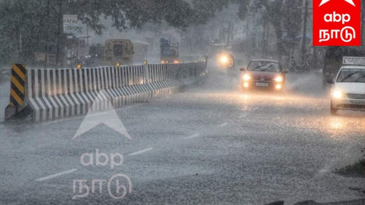 RainFall Data: 2024ல் எந்த மாவட்டத்தில் அதிக மழை பெய்தது ? எவ்வளவு பெய்தது?