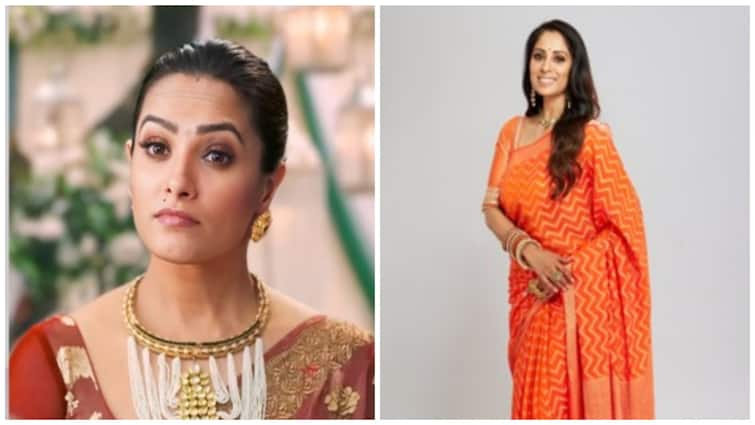 Year Ender 2024: Anita Hassanandani To Sangeeta Ghosh, TV's Most Unforgettable Antagonists Of The Year