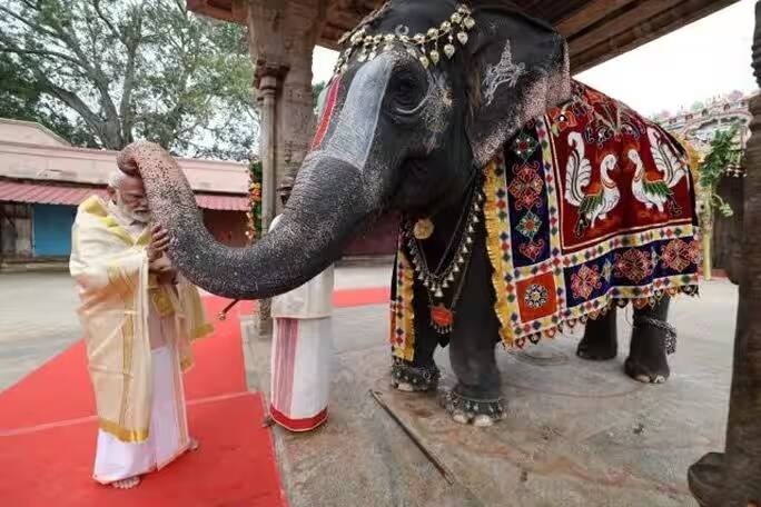 राम मंदिर के उद्घाटन से पहले पीएम मोदी ने तमिलनाडु का दौरा किया था. इसी दौरान तमिलनाडु के तिरुचिरापल्ली में श्री रंगनाथस्वामी मंदिर में पीएम मोदी.