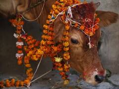 New Year 2025: જો નવા વર્ષના પહેલા દિવસે મળી જાય આ 5 સંકેત, તો થઇ જશો માલામાલ