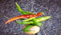 તમારા બિઝનેસમાં સફળતા માટે દર મંગળવારે કરો લીંબુના આ ઉપાય, થશે આ લાભ