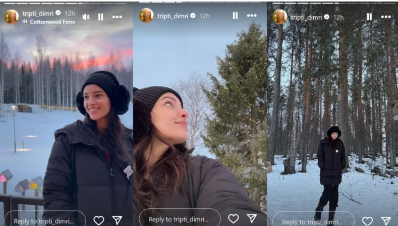 Triptii Dimri Holidays With Rumoured Boyfriend Sam Merchant In Finland, Enjoys Snowfall And Northern Lights' View