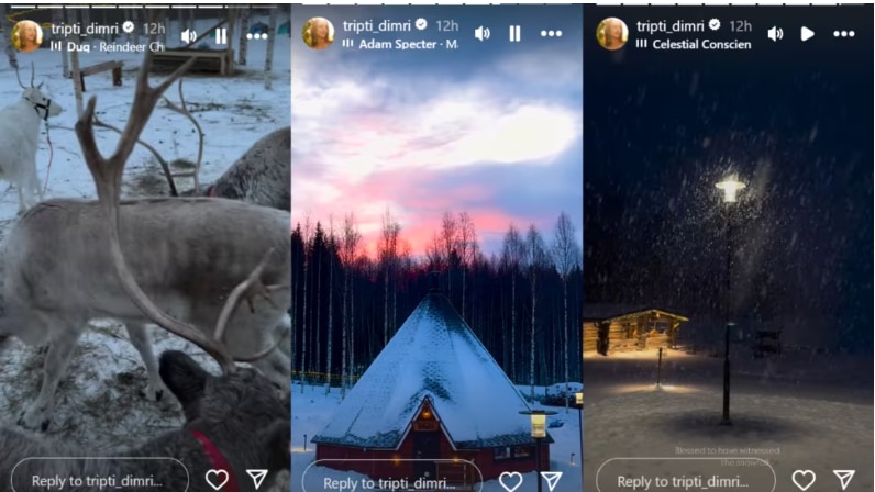 Triptii Dimri Holidays With Rumoured Boyfriend Sam Merchant In Finland, Enjoys Snowfall And Northern Lights' View