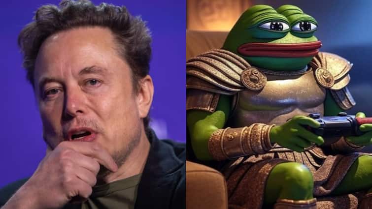 Elon Musk ने बदला अपना नाम, X पर बने Kekius Maximus, जानें इसका मतलब