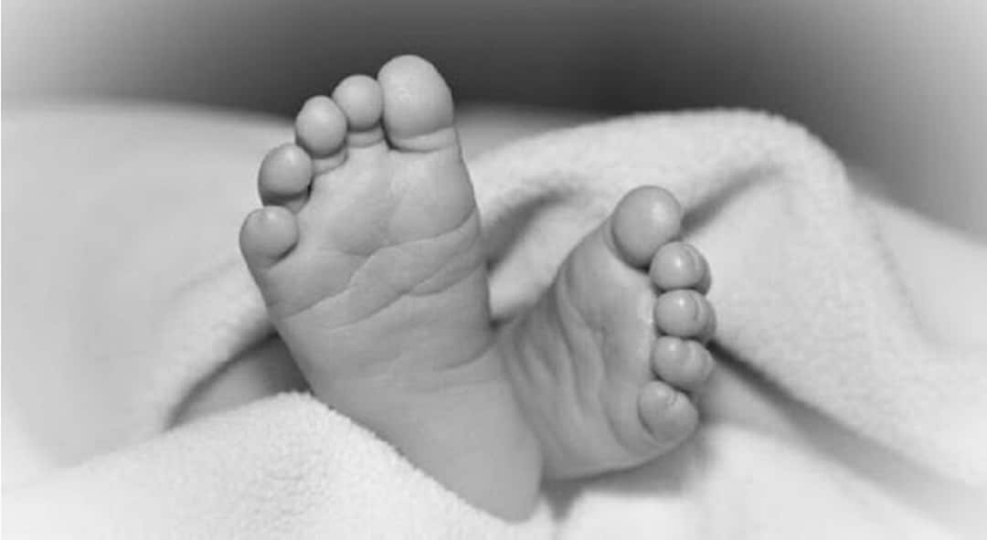 Vadodara Crime News a small boy died due to knot a tie in the swing hook in the home Vadodara: માતા-પિતા માટે લાલબત્તી સમાન કિસ્સો, વડોદરામાં બાળકની ટાઈ હિંચકાના હૂકમાં ફસાતા મોત