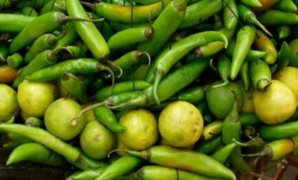 હનુમાનજીની કૃપા મેળવવા માટે મંગળવારનો દિવસ ખૂબ જ મહત્વપૂર્ણ માનવામાં આવે છે અને જ્યોતિષ શાસ્ત્ર અનુસાર જો આ દિવસે કેટલાક ઉપાયો અપનાવવામાં આવે તો દરેક પ્રકારની સમસ્યાઓમાંથી મુક્તિ મળે છે. તેની સાથે જ કરિયર અને નોકરીના ક્ષેત્રમાં આવતા અવરોધો પણ દૂર થાય છે.