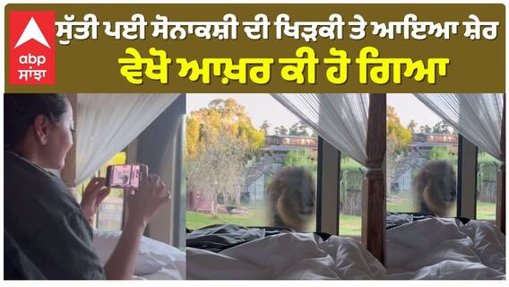 ਸੁੱਤੀ ਪਈ ਸੋਨਾਕਸ਼ੀ ਦੀ ਖਿੜਕੀ ਤੇ ਆਇਆ ਸ਼ੇਰ , ਵੇਖੋ ਆਖ਼ਰ ਕੀ ਹੋ ਗਿਆ