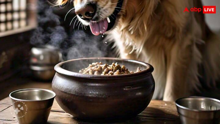 चीन के एक सरकारी स्कूल में बड़े बच्चों को खाना खिलाने के बाद छोटे बच्चों को खाना दिया जाता है. इस दौरान बड़े बच्चों के खाने के बाद बचा हुआ खाना कुत्तों को सर्व किया जाता है.