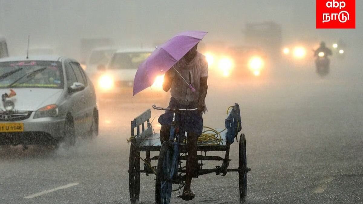 RainFall Data: 2024ல் எந்த மாவட்டத்தில் அதிக மழை பெய்தது ? எவ்வளவு பெய்தது?