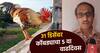 चिमण्या 'कोंबड्यावर जडला जीव', चिकन खाणंही सोडलं; 31 डिसेंबर दिवशीच साजरा झाला 5 वा बर्थ डे