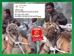 Fact Check: વાઘને હાથી પર લઇ જતા વાયરલ વીડિયોનું ચોંકાવનારૂં સત્ય, Video બિહારનો હોવાનો દાવો