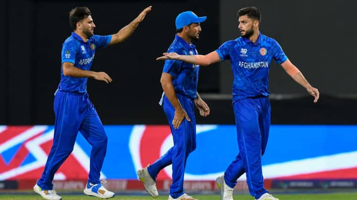 3. अल्लाह ग़ज़नफ़र (AFG) 11 मैचों और पारियों में 21 विकेट के साथ तीसरे स्थान पर है। उन्होंने 422 गेंदें (70.2 ओवर) फेंकी, जिसमें पांच मेडन ओवर शामिल थे, जिसमें उनका सर्वश्रेष्ठ प्रदर्शन 6/26 का रहा। उनका गेंदबाजी औसत 13.57 है, जिसमें 4.05 की इकोनॉमी और 20.09 का स्ट्राइक रेट है, जो दो बार पांच विकेट लेने से समर्थित है। (छवि क्रेडिट: एक्स/आईसीसी)