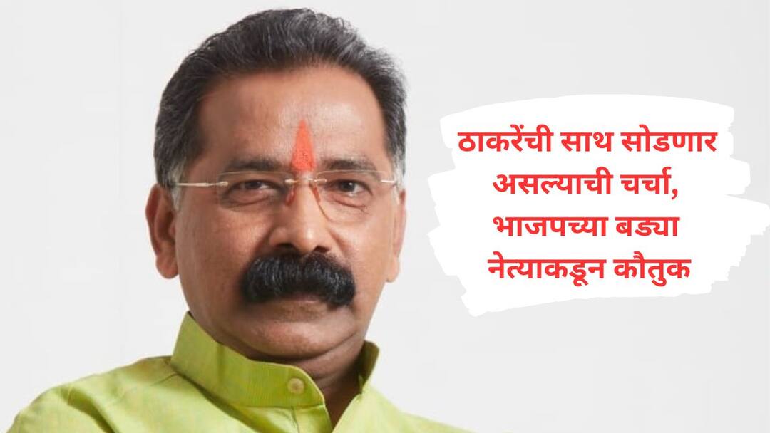 Rajan Salvi : राजन साळवी ठाकरेंची साथ सोडणार असल्याची चर्चा असतानाच भाजपच्या बड्या नेत्याची सूचक प्रतिक्रिया Rajan Salvi While there is talk that Rajan Salvi will leave Uddhav Thackeray support the reaction of a senior BJP leader is suggestive Maharashtra Politics Marathi News Rajan Salvi : राजन साळवी ठाकरेंची साथ सोडणार असल्याची चर्चा असतानाच भाजपच्या बड्या नेत्याची सूचक प्रतिक्रिया