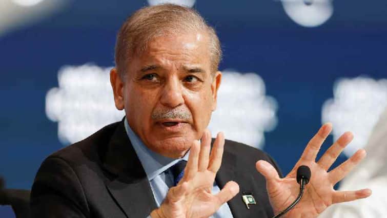 IMF Approves Immediate Disbursement Of USD 1 Bn To Pak, Sharif Says India’s ‘High-Handed Tactic