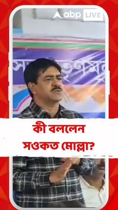 আরাবুল ইসলাম প্রসঙ্গে কী বললেন সওকত মোল্লা?