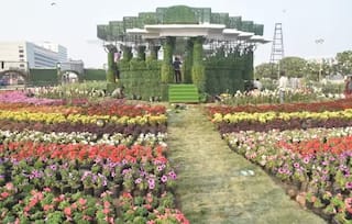 અમદાવાદમાં ગ્રીનરી વધી! છેલ્લા 3 વર્ષમાં 70 લાખથી વધુ ઝાડ વાવ્યા, PM મોદીએ 'મન કી બાત'માં કર્યા વખાણ