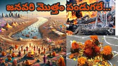 భోగి, సంక్రాంతి సహా జనవరి 2025 లో పండుగలు, సెలవులు..పెద్ద లిస్టే ఇది!