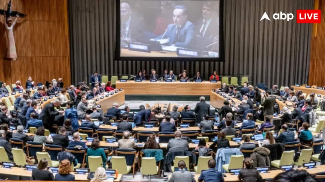 Pakistan will join the Security Council in 2025, India has already made plans सुरक्षा परिषद में शांति दूत बन पहुंच गया पाकिस्तान,कहीं न कर दे बड़ा नुकसान? भारत ने बना लिया पहले ही प्लान