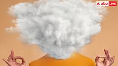 ज्यादा कोहरा के कारण दिमाग पर पड़ता है बुरा असर? जानिए क्या कहते हैं हेल्थ एक्सपर्ट