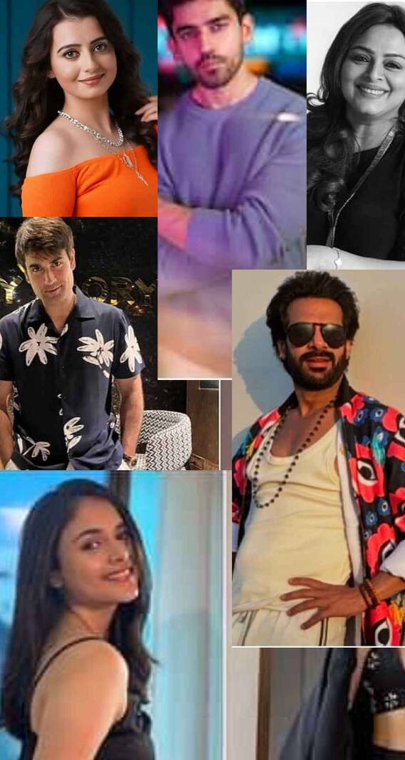 बिग बॉस 18 के इन कंटेस्टेंट्स में कौन है सबसे ज्यादा अमीर, जानें