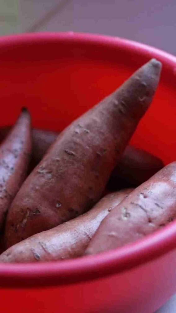 एक नहीं कई फायदे देता है शकरकंद