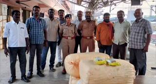 ரயிலில் மதுரைக்கு பார்சலில் வந்த 240 கிலோ கணேஷ் புகையிலை பறிமுதல்