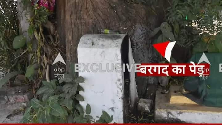 सर्वे में बरगद का पेड़ भी मिला है जिस पर कालिख लगी है. इसके आधार पर कहा जा रहा है कि यह कालिख दिए जलाने की वजह से है और हिंदू धर्म में वट वृक्ष यानि बरगद के पेड़ की पूजा का रिवाज है.