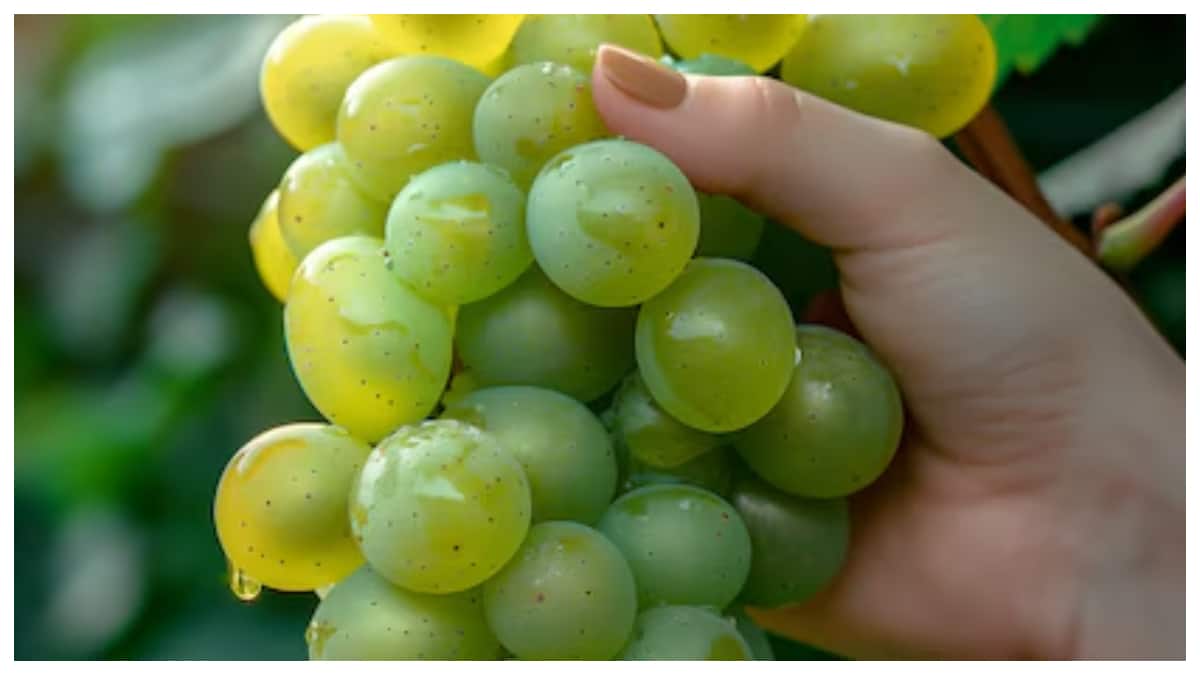 Hyderabad News: డిసెంబర్‌ 31న హైదరాబాదీలకు గ్రేప్స్‌ ఫాంటసీ- రొమాన్స్ కోసం కాదు సెంటిమెంట్‌ మేటర్