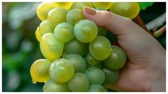 డిసెంబర్‌ 31న హైదరాబాదీలకు గ్రేప్స్‌ ఫాంటసీ- రొమాన్స్ కోసం కాదు సెంటిమెంట్‌ మేటర్