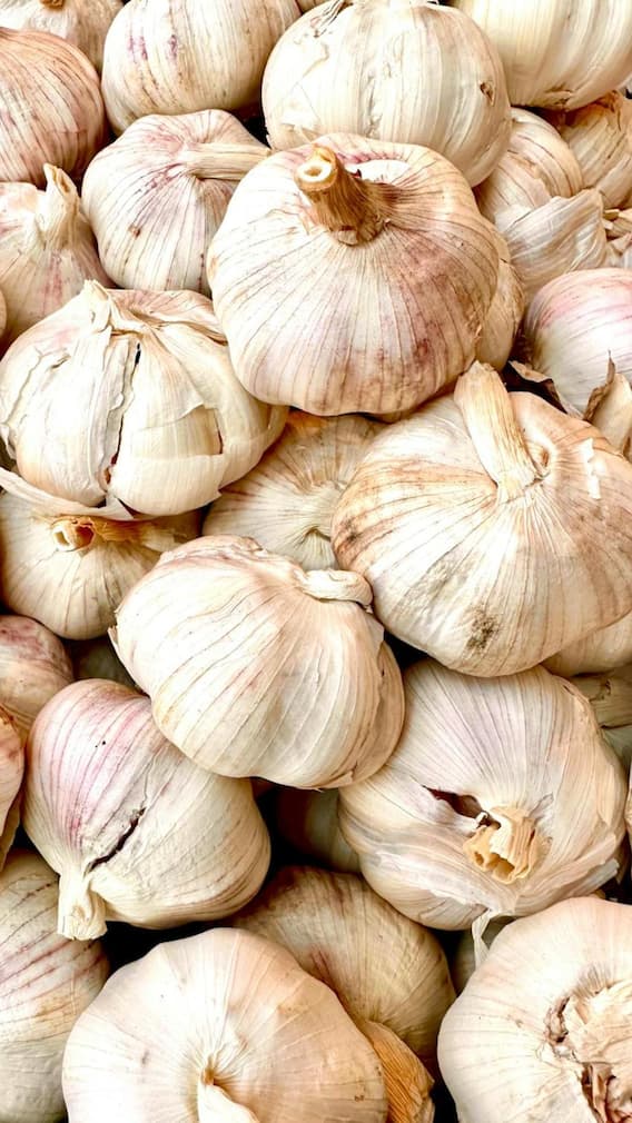 भारत के किस राज्य में होता है सबसे ज्यादा लहसुन का उत्पादन?