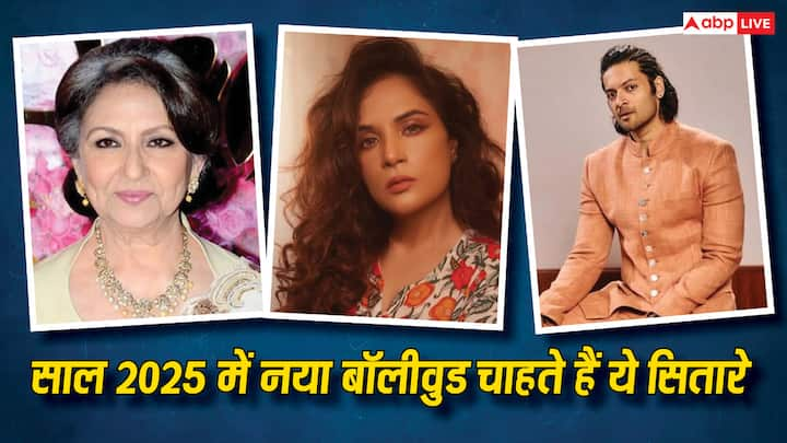 Celebs in New Year 2025: कई सेलेब्स ने नए साल पर कई रेज्यूलेशन लिए हैं. वहीं कई सेलेब्स इस साल इंडस्ट्री में कई बदलाव चाहते हैं. चलिए जानते हैं आखिर कौन सा सितारा क्या बदलाव चाहता है.