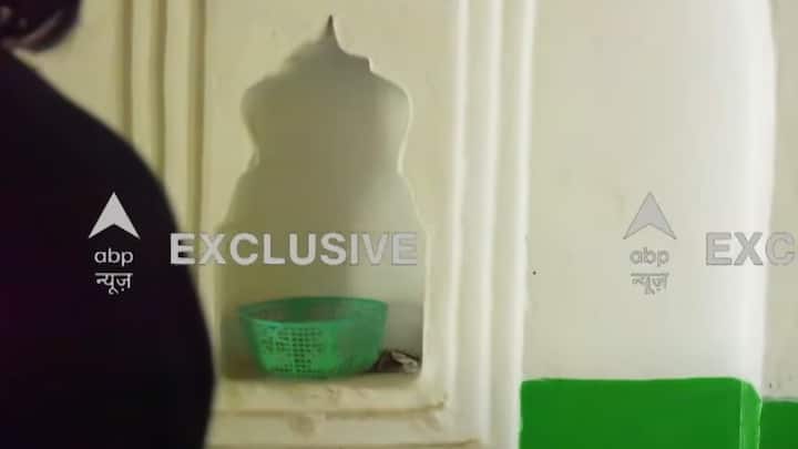 मुख्य परिसर में एक सुनहरी रंग की आकृति है जिस पर सूत्रों के मुताबिक सर्वे के दौरान दावा किया गया है कि ये आकृति आदिशेष या फिर शेषनाग से मिलती जुलती है.