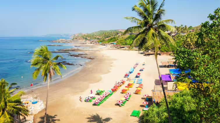 Goa New Year 2025! Is The Party Capital Of India Losing Its Charm? Details Inside