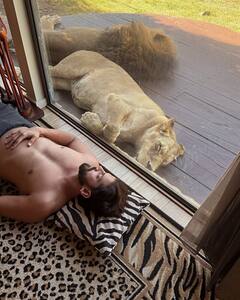 Sonakshi Sinha Shares Wildlife Encounters And Heartfelt Moments From Her Australian Getaway, PICS