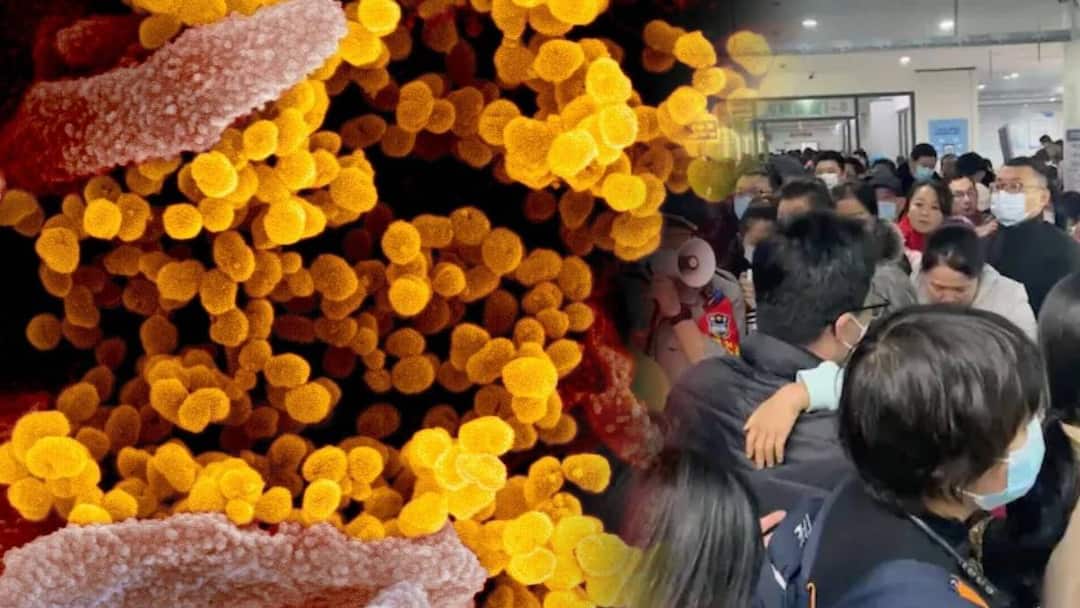 China Virus: கொரோனாவை மிஞ்சும்HMPV வைரஸ்? கதிகலக்கத்தில் சீனா: அறிகுறிகள் என்ன? எப்படி பரவுகிறது? முழு விபரம்!