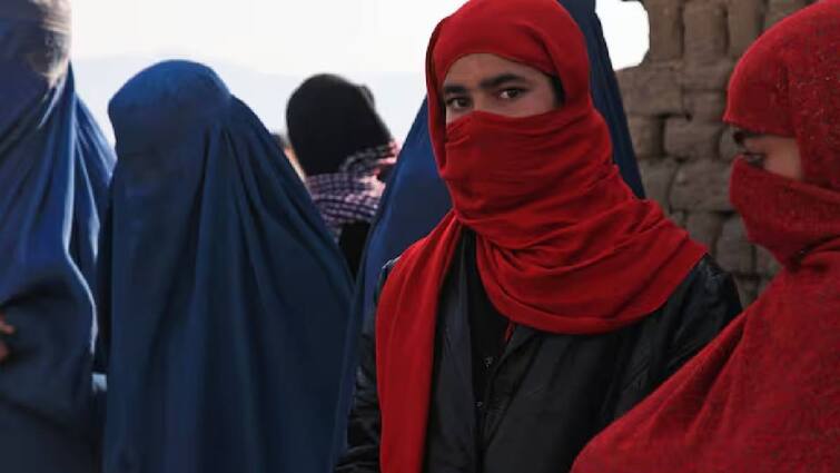 Taliban Imposes New Restrictions On Residential Windows To Limit Visibility Of Women பெண்கள் இருக்கும் வீடுகளில் ஜன்னல் இருக்கக்கூடாது: ஆப்கனில் தலிபான் அரசு புது உத்தரவு 