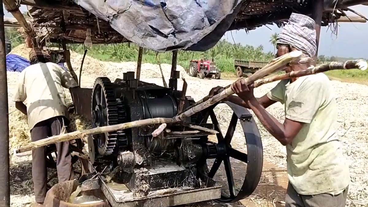 வெல்லத்திற்கு நிலையான விலை நிர்ணயம் வேண்டும் - கரும்பு விவசாயிகள் கோரிக்கை