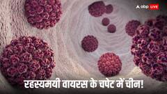 कोविड से उभरने के 5 साल बाद किस रहस्यमयी वायरस ने चीन में दी दस्तक! अलर्ट मोड पर 'ड्रैगन'