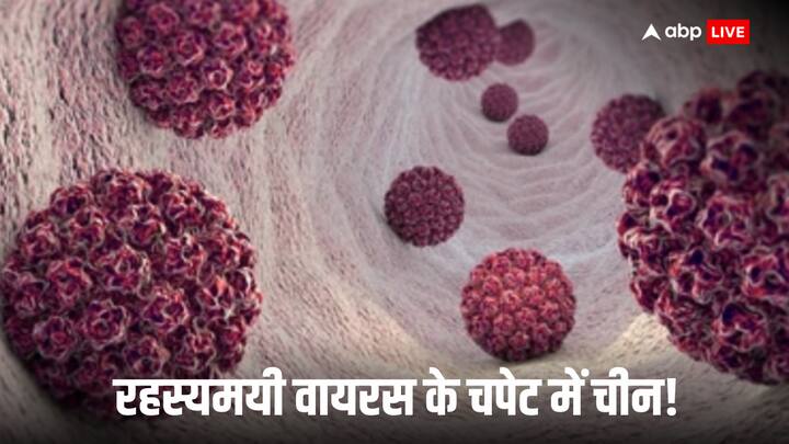 चीन से कोविड-19 के उभरने के 5 साल बाद एक और रहस्यमयी वायरस ने लोगों का ध्यान अपनी ओर खींचा है. चीन के अधिकारी देश के कई हिस्सों में ह्यूमन मेटान्यूमोवायरस (HMPV) के प्रकोप का सामना कर रहे हैं.