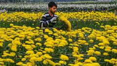 Weather Update: শীতের আমেজ শহরজুড়ে, বছরের শুরুতেই জাঁকিয়ে ঠান্ডা