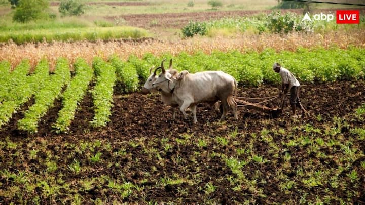 Kisan Subsidy Benefits: नए साल पर किसानों के लिए सरकार की ओर से नया तोहफा इस चीज पर सरकार ने बढ़ाई इतनी सब्सिडी. जानें किन-किन चीजों पर किसानों को मिलती है सब्सिडी.