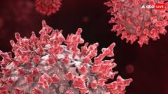 चीन में फैल रहे कथित ह्यूमन मेटान्यूमोवायरस से बचने का क्या है तरीका?