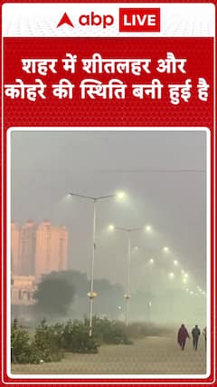 Chill and Fog Blankets Jaipur, City Grapples with Severe Cold Wave and Dense Fog