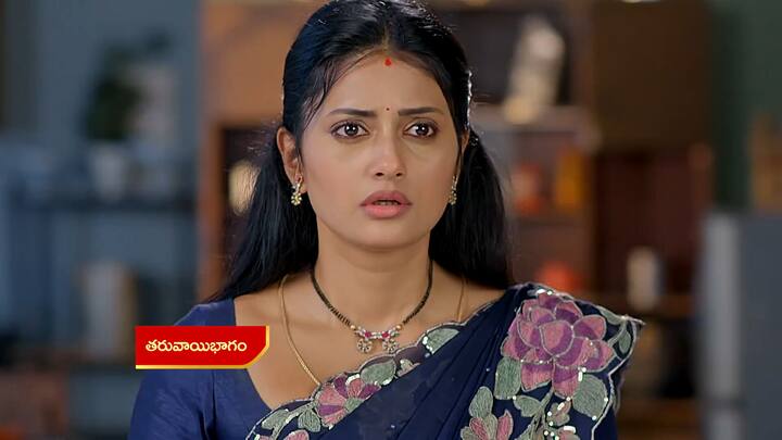 సత్యభామ జనవరి 04 ఎపిసోడ్ లో.. నామినేషన్లో పేపర్స్ లో సంతకాలు చేయమని తన పుట్టింటి వారిని అడుగుతుంది సత్య. నీ భర్తను కాదని నీకెలా సపోర్ట్ చేస్తాం అంటుంది విశాలాక్షి. నువ్వు నీగురించి తప్ప ఇంకెవరి గురించి ఆలోచించడం లేదని ఫైర్ అవుతుంది సంధ్య.. నీ పుట్టిల్లు నీ వెనుక నిలబడదు అని క్లారిటీ ఇచ్చేస్తారు సత్య షాక్ అవుతుంది...