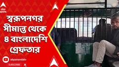 Bangladesh News: স্বরূপনগর সীমান্ত থেকে ৪ বাংলাদেশি গ্রেফতার | ABP Ananda LIVE