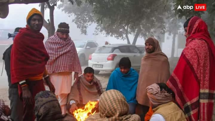 Weather Forecast: उत्तर भारत में शीतलहर से तापमान में भारी गिरावट हो रही है. पहाड़ी क्षेत्रों में बर्फबारी और मैदानी इलाकों में कोहरे ने ठंड बढ़ा दी है जिससे जनजीवन प्रभावित है.