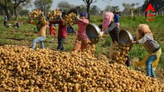 মুখ্যমন্ত্রীর ধমকের পরই তৎপরতা, বাজারে টাস্ক ফোর্সের অভিযান