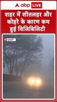 Cold Wave and Fog Reduce Visibility in Guwahati | ABP News